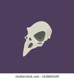 bird skull on a dark background