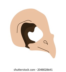 Bird Skull.Witchcraft magic design elements.