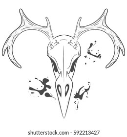 Bird Skullwith antlers. Vector print