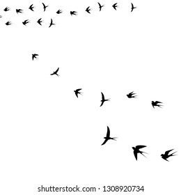 bird in the sky,vector illustration
