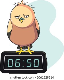 bird sleepy morning clock eagle