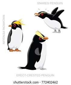 Bird Snares Penguin Set Cartoon Vector Illustration