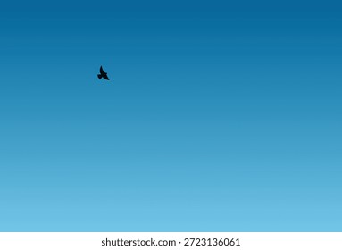 Pájaro que se eleva en un cielo azul claro