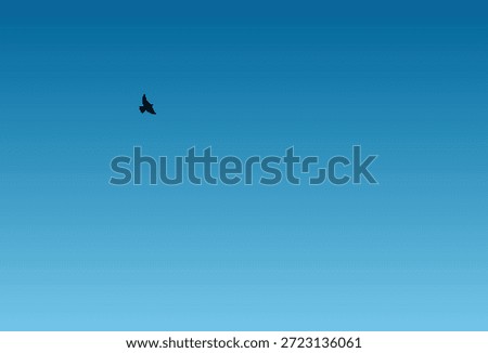 Bird Soaring in a Clear Blue Sky