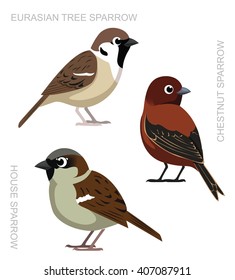 Bird Sparrow Set Cartoon Vector Illustration