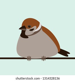 bird sparrow, vector illustration, flat style, front view