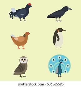 Bird species collection different vector illustration wild animal characters avifauna tropical feather pets