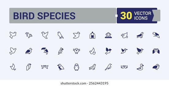 Bird Species icon. Containing gull, flight, duck, drawing, pen, art, chick, wildlife. Collection for mobile and web apps. Outline and solid pictogram.