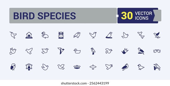 Bird Species icon. Containing gull, flight, duck, drawing, pen, art, chick, wildlife. Collection for mobile and web apps. Outline and solid pictogram.