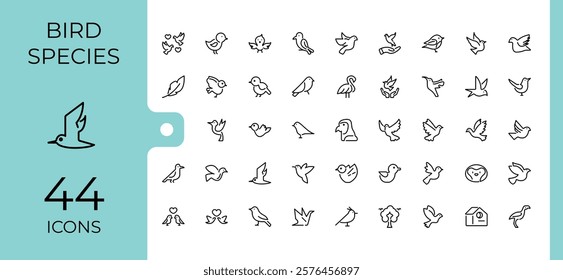 Bird Species icon pack. Featuring cute, free, chick, wild, pet, feather, wing, penguin. Perfect for logos and infographics. Editable vector stroke.