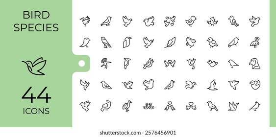 Bird Species icon pack. Featuring cute, free, chick, wild, pet, feather, wing, penguin. Perfect for logos and infographics. Editable vector stroke.