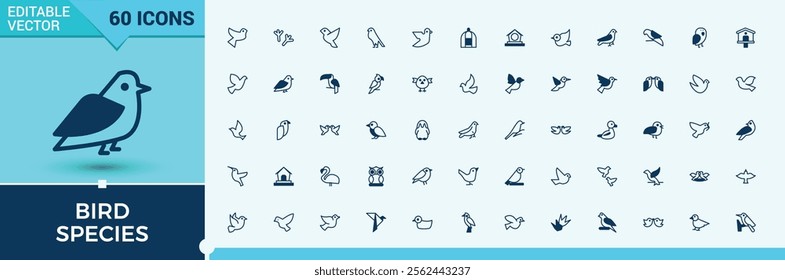 Bird Species icons set in linear style. It contains symbols to bird, nature, wildlife, graphic, silhouette and more. Outline symbol collection. Editable vector icon and illustration.