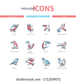 Especies de pájaros - modernos iconos de diseño de línea con relleno de color azul y rojo. Ojo pequeño, rapido, colibrí, pescador de cangrejos, buey grande, teta toscana, cresta, munia, cuervo, perdix, grupo negro