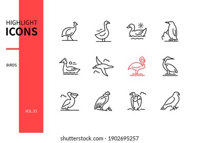 Bird species - modern line design style icons set. Black and white images. Helmeted guineafowl, goose, duck, penguin, great crested grebe, albatross, flamingo, heron, pelican, condor, vulture