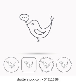 Bird with speech bubble icon. Chat talk sign. Social media concept symbol. Linear circle, square and star buttons with icons.