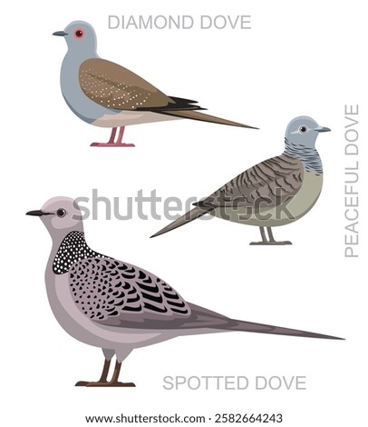 Bird Spotted Dove Australian Set Cute Cartoon Vector