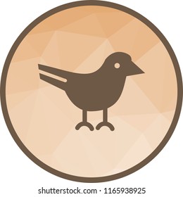 Bird, spring, nature