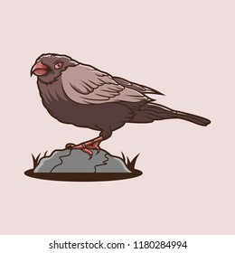 Bird stand above the stone vector character illustration design
