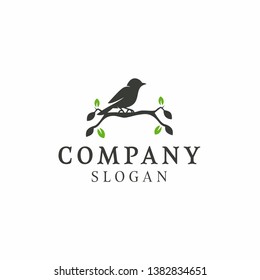 Bird Standing on a Branch Logo Design