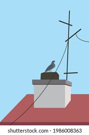  A bird  standing on the chimney of a building