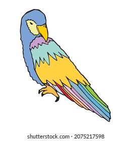 Pájaro parado en la rama imaginaria mirando sobre el logo del contorno del dibujo de la pluma de ala. Imagen de la ilustración de pájaro de loro arábigo. Animales coloridos volando con plumas en la jungla aislada de la silueta.