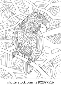 Bird Standing On Tree Branch Line Drawing With Leaves Detailed Background Coloring Book