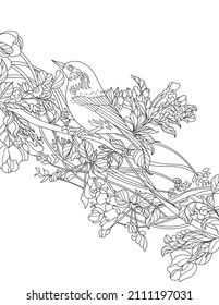 Bird Standing On Tree Branch Line Drawing Colouring Book idea