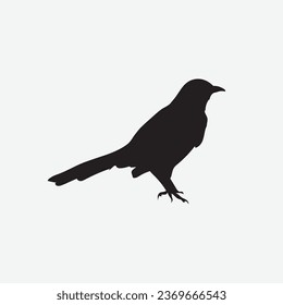 Bird standing vector image png