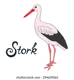 Bird stork vector illustration
