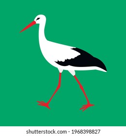 Bird stork white vector isolated. The stork (Ciconia ciconia) is coming. Stock illustration.