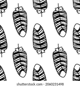 bird striped feather pattern. Seamless pattern of a hand-drawn bird's feather in sketch style, oval shape with a pattern of stripes, black outline located on a white background of the design template