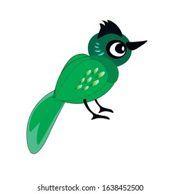 bird summer jungle vector graphics