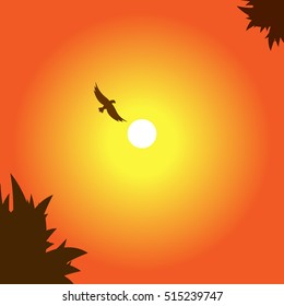 Bird and sun