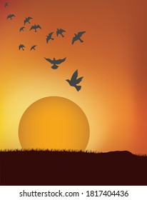 bird at sunrise illustration background