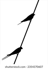 bird swallow sitting on a wire resting flies