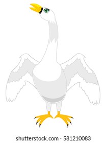 Bird swan on white background is insulated
