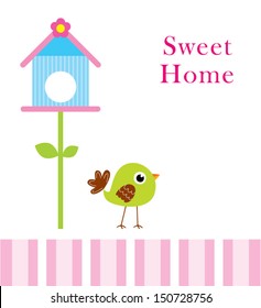bird sweet home