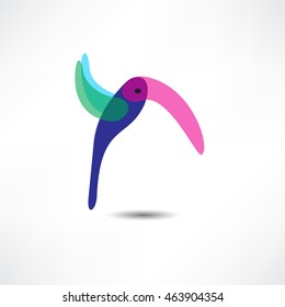 bird symbol and logo design element