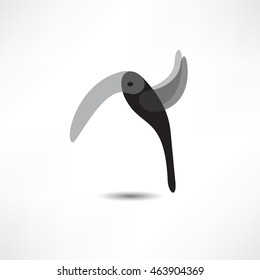 bird symbol and logo design element