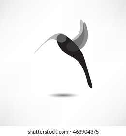 bird symbol and logo design element