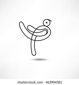 bird symbol and logo design element
