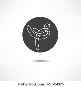 bird symbol and logo design element