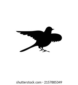 Bird Symbol Silhouette Bird Vector Stock Vector (Royalty Free ...