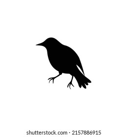 Bird symbol silhouette . Bird vector