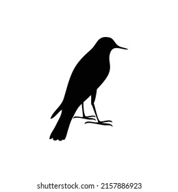Símbolo de pájaro silueta. Vector de aves