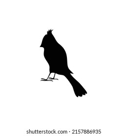 Símbolo de pájaro silueta. Vector de aves