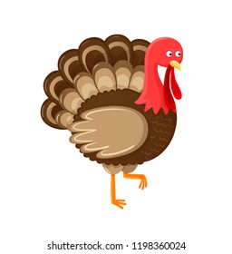 Bird Symbol Of Thanksgiving Day Isolated Icon Vector. Animal With Feathers Sign Of Autumn Fall American Holiday. Unprepared Meat, Standing Poultry