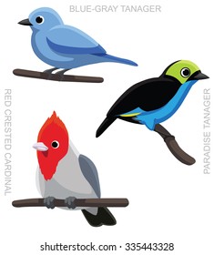 Bird Tanager Cardinal Set Cartoon Vector Illustration 2