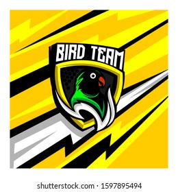 bird team mascot logo concept