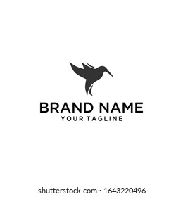 bird template logo designs vector